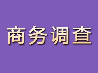 怀来商务调查